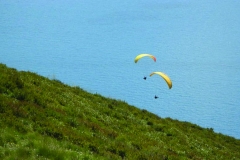 gallery parapendio 5