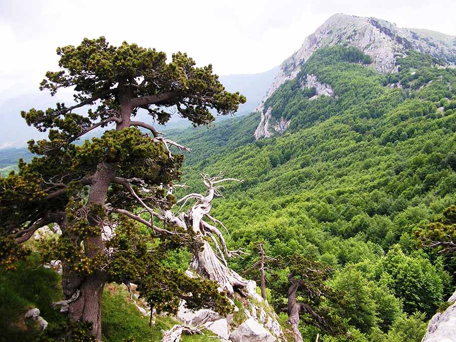 parco nazionale del pollino villaggio camping maratea