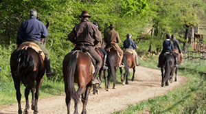  escursione a cavallo maratea